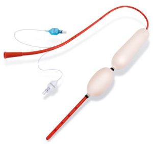 Sonda Sengstakena CH 21 dorośli