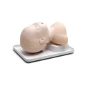 infant-airway-management-trainer-trenazer-do-udrazniania-drog-oddechowych-u-niemowlat.webp