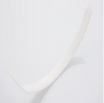 Siłownik klikera Brayden Adult