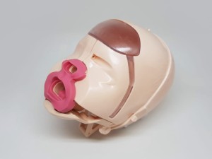 Jednostka głowy Brayden Baby