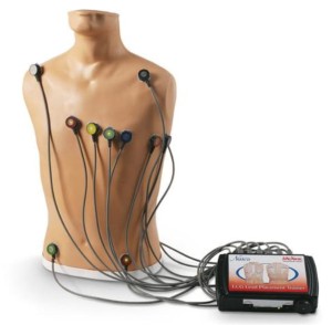 Fantom ECG Placement Trainer 15-Lead