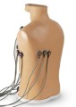 Fantom-ECG-Placement-Trainer-15-Lead-2.jpg