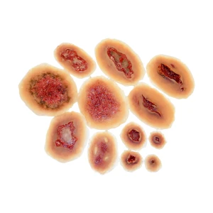 Zestaw samoprzylepnych ran (Techline – Self-Adhesive Wound Kit)