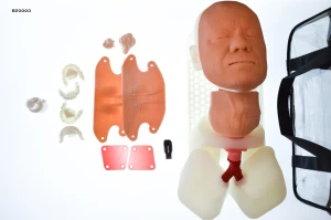 Trenażer do nauki intubacji osoby starszej z regulacją ruchomości szyi oraz oceną intubacji w skali Cormacka-Lehana (1-3) i konikotomią