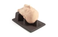 Fantom-do-nauki-konikotomii-Laerdal-Cricoid-Stick-Simulator-2.png